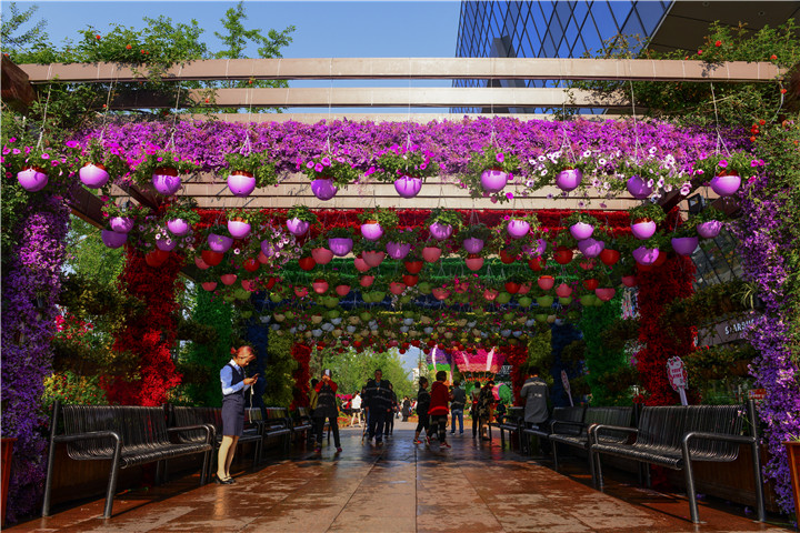 都江堰活動策劃常用的宣傳用品有哪些